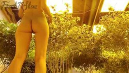 Nude Gardening with Freak77Show Grow Tips Episode 1 Leaf Picking