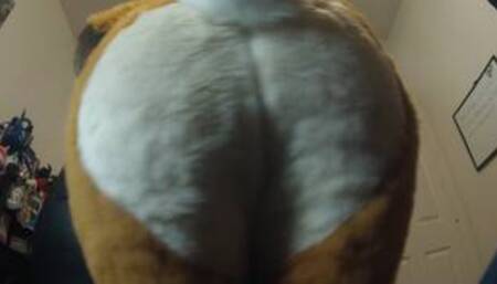 uncomfortably close to furry ass