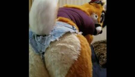 deer shows off her tail