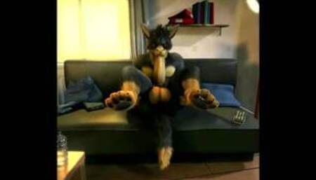 H0RS3 Compilation - (Gay Yiff Comp) - Compiled by AznChubLuvr