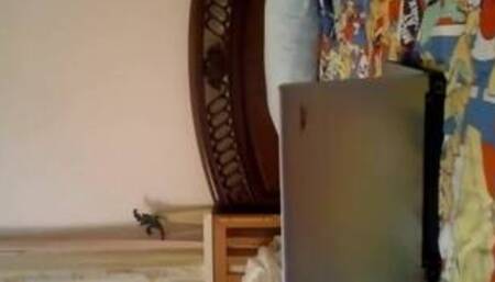 Arab Sexy Girl..... New