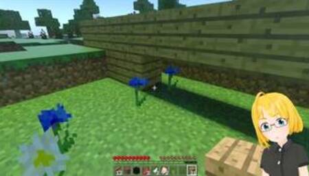 Building a house in Minecraft