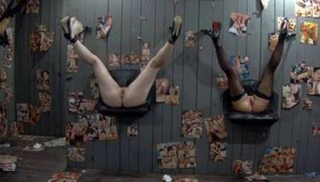 Free pussy for everybody 7