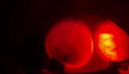 Glow In The Dark Boobs. Boob Nightlights. PBelle27