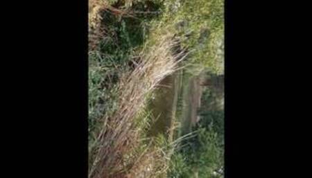 Вылизала киску в общественном месте с видом на реку (рискованный секс) - Lesbian_illusion