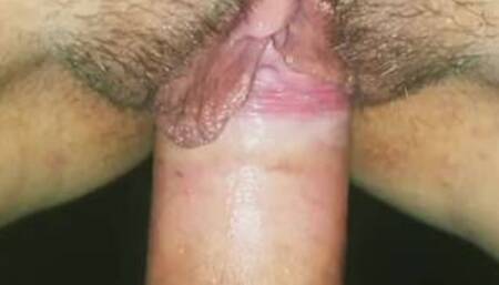 Nik Gaid