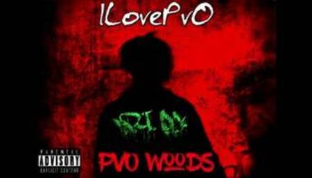 ILovePvO - PvO Woods 5