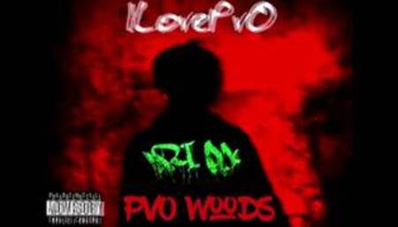 ILovePvO - PvO Woods 10