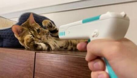 If you use a massage gun on Pussy, it will suck you into its mouth and won't let go........ Finally,