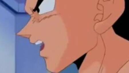 Dragon Ball Z Vegeta & Bulma