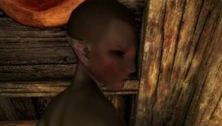 SkyrimSex-Fuck Skyrim(Niluva)