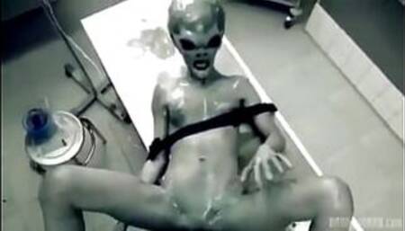 rare experiment in area 51