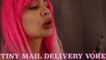 Tiny Mail Delivery Vore - HD 1080p Preview