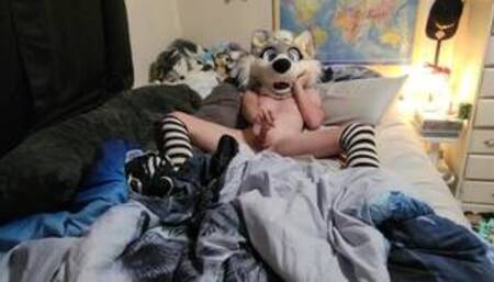LunaWulfy