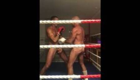 Tye Boxer