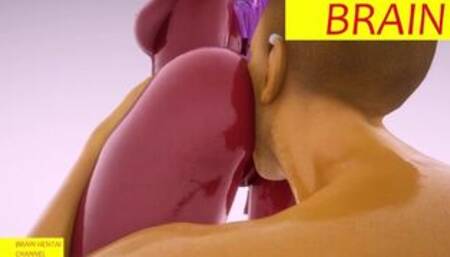 BrainHentai HD 48FPS New Episode N1