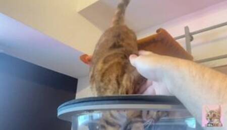 The best place to play with Pussy ... It's always exciting to play in unusual places!