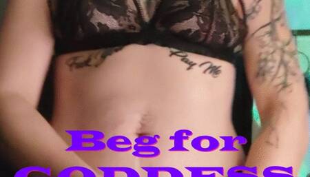 Beg for GODDESS COCK