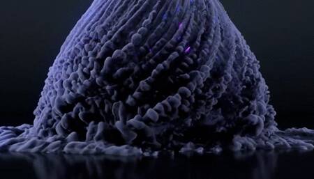 I'm going to ride your face