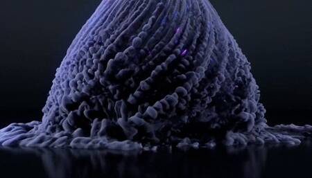 Rubbing body against slave