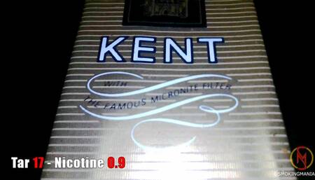 KENT 100s Deluxe inside