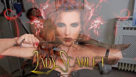 Lady Scarlet - Life saving visit