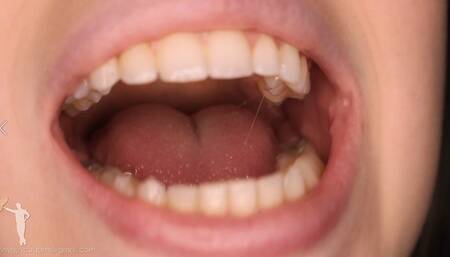 Zaurus Mouth Tongue Teeth Close Up
