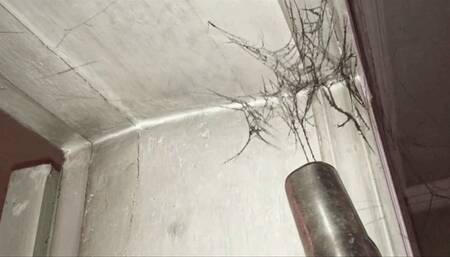 The black web has taken over my house and my vacuum cleaner is fighting with it