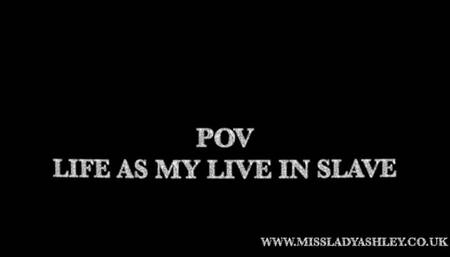 POV Fantasy MLA'S five live in slaves