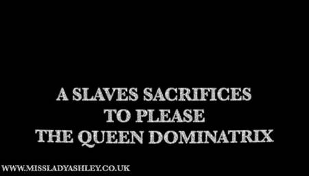 slave sacrifices his body to the Queen