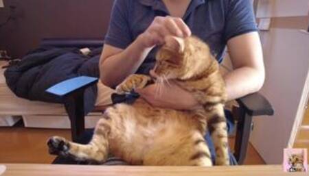 Pussy Orgy on Zoom.Pussy feel good and squirt a lot and get dirty.