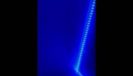 Kisha from Belly Sucking Dick