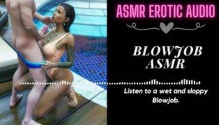 [18+ ASMR EROTIC AUDIO] Wet and Sloppy Blowjob