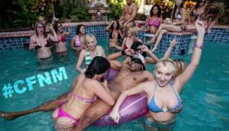 DANCING BEAR - All She Wants For Her Birthday Is A Hung Gigolo