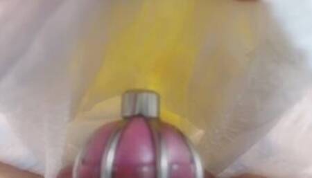 男の娘、貞操帯つけてオムツにおしっこ