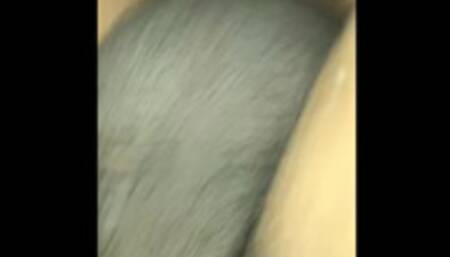 Thanksgiving Stuffing