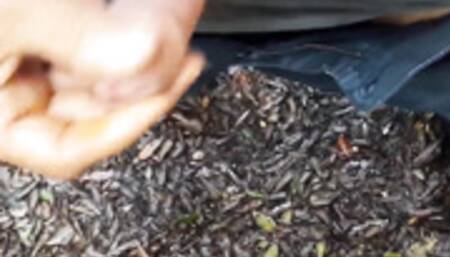 My friend beautiful black cock