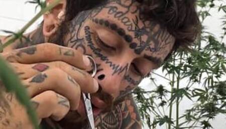 Paródia proibida no youtube & Bônus XXX - Barbara Alves