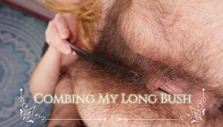 Combing My Long Bush