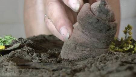 MB208 CBT-Black Slipper-Dirt and Flowers