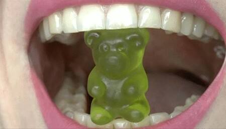 Let the bears feel how sharp your teeth are MP4 HD 720p