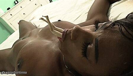 Paris Love Possessed By Tiny Dark Enchantress (SD 720p WMV)