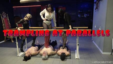 Lady Scarlet - Trampling at parallels