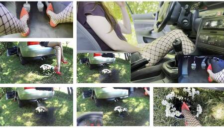 Ms Curious - More smoke, more fun!