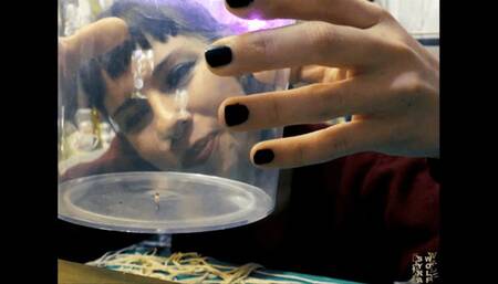 Smashing The Nest and Making You Watch