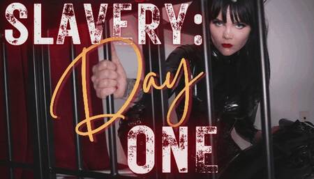 Slavery: Day One (WMV)