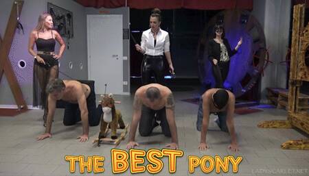 Lady Scarlet - The best pony (mobile)