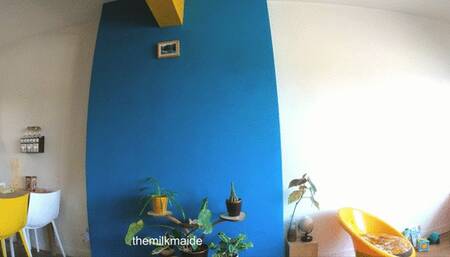 Step-Mommy MILF microbikini thigh and ass job