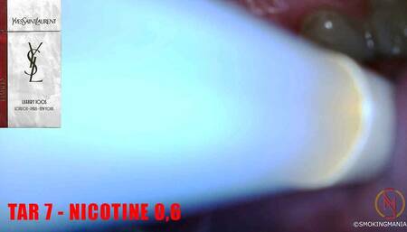 Yves Saint Laurent Lights 100s inside