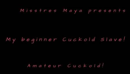 Beginner Cuckold Slave Johnny